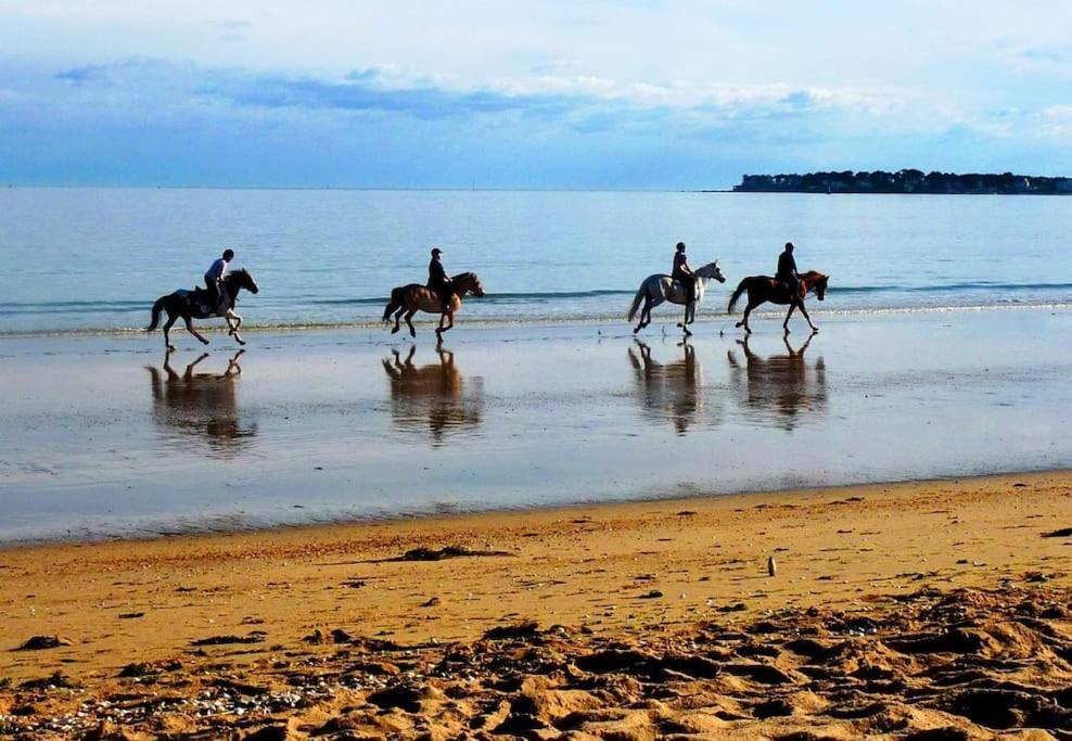 Dream A Hébergement de vacances *